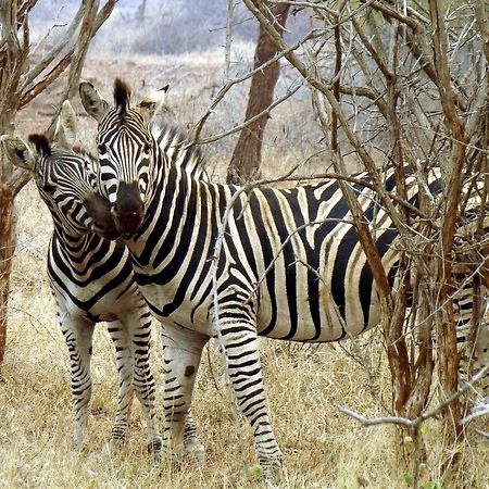 Ndlovu Log Home Dinokeng Klipdrift Luaran gambar