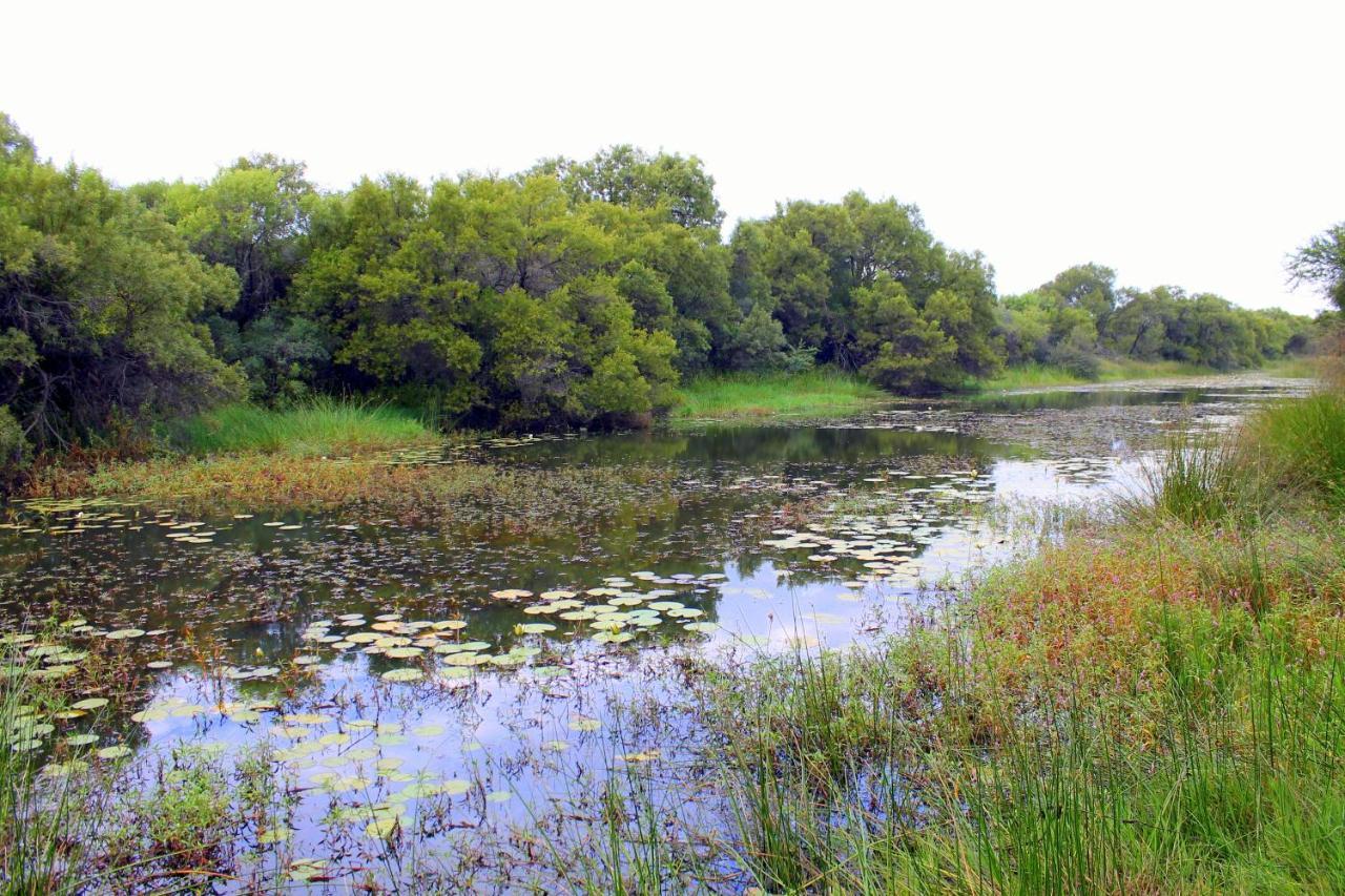 Ndlovu Log Home Dinokeng Klipdrift Luaran gambar