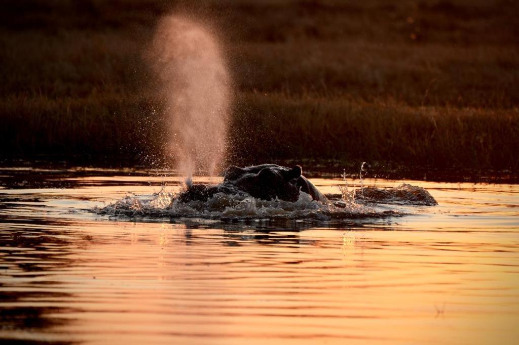 Ndlovu Log Home Dinokeng Klipdrift Luaran gambar