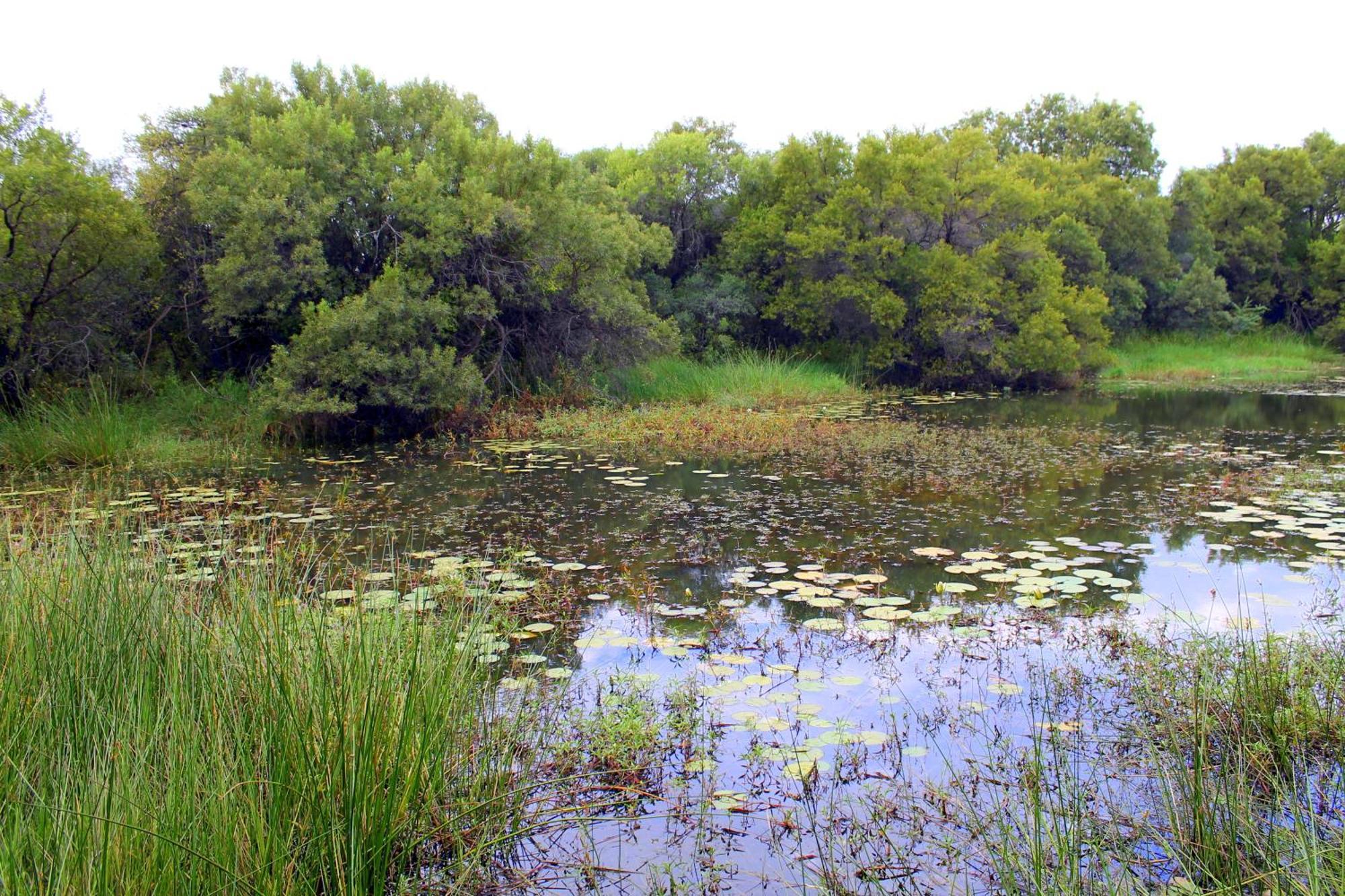 Ndlovu Log Home Dinokeng Klipdrift Luaran gambar