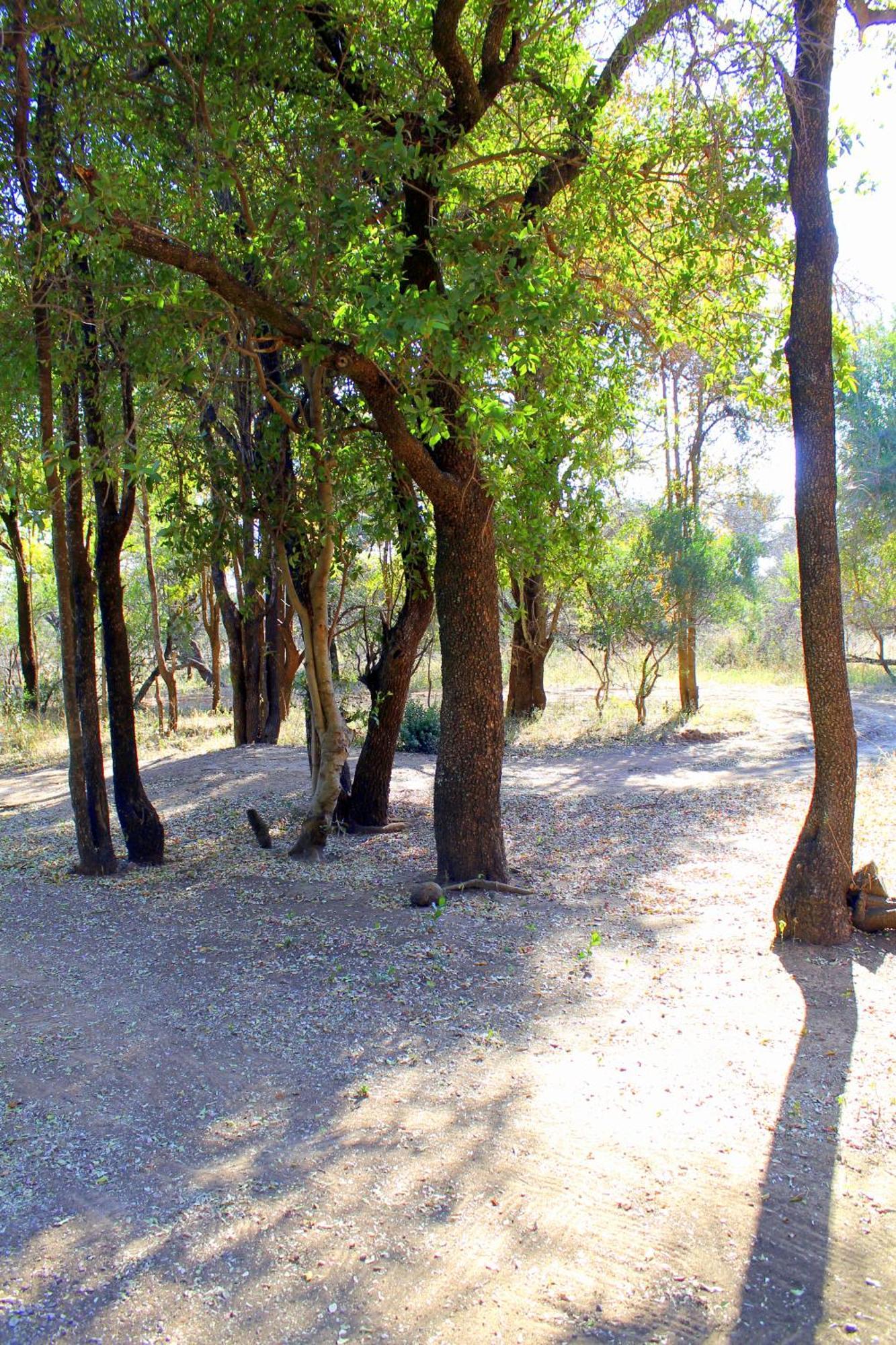 Ndlovu Log Home Dinokeng Klipdrift Luaran gambar
