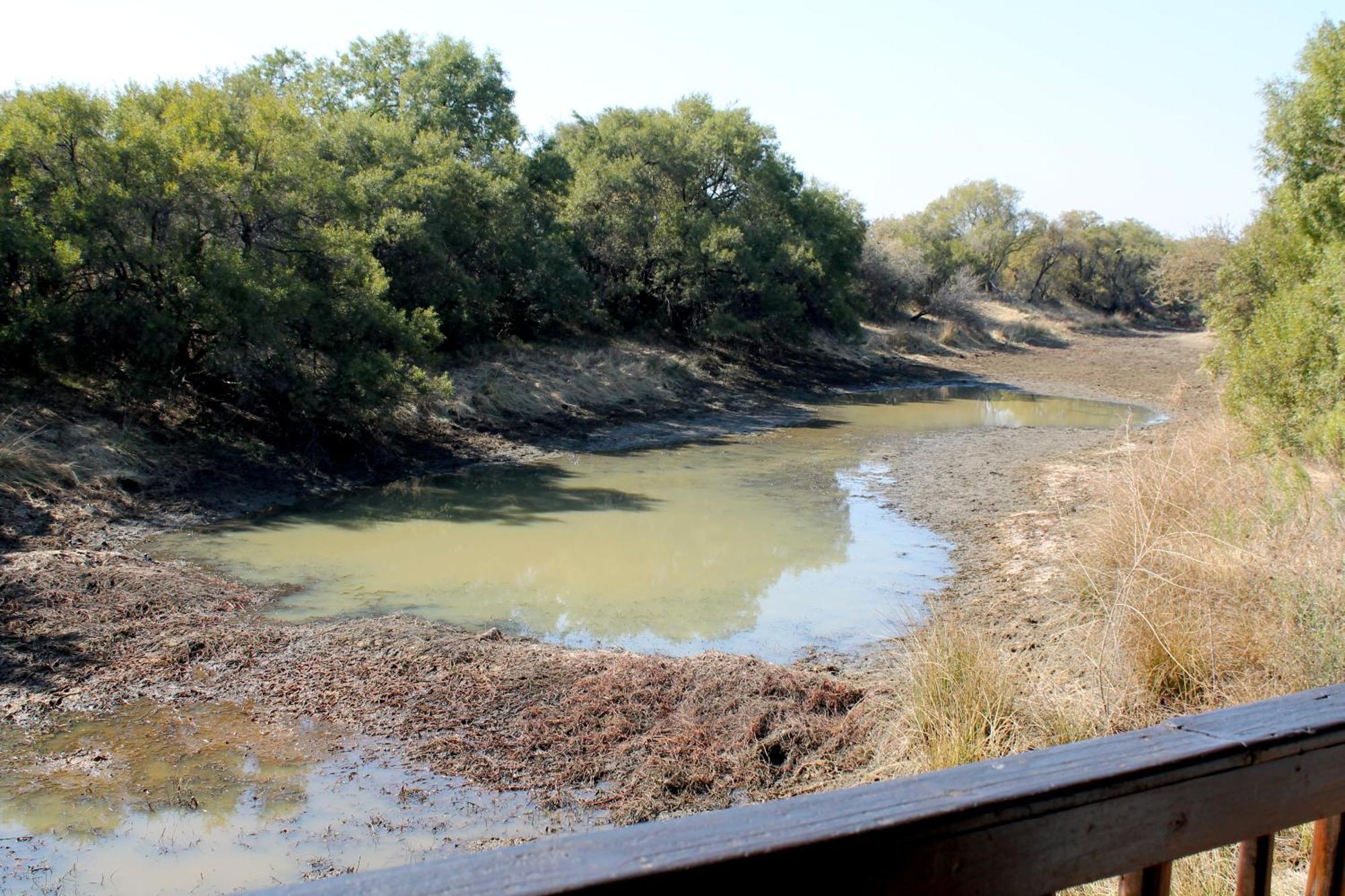 Ndlovu Log Home Dinokeng Klipdrift Luaran gambar